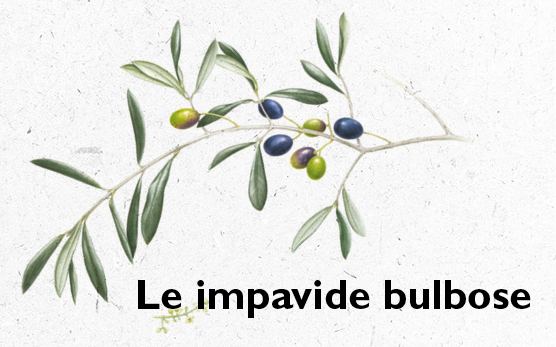 Le impavide bulbose