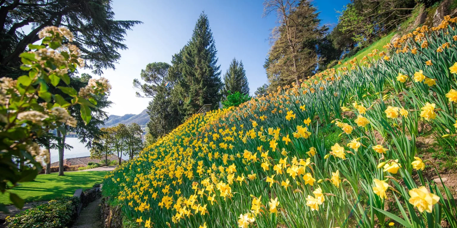 Parco di Villa del Grumello , Lago di Como