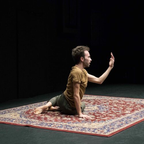 Performative speech: studio sul Fauno