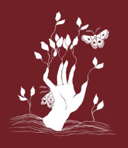 WhatsApp Image 2025-03-15 at 15.56.02