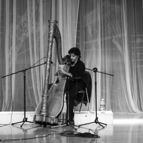 Fabius Constable duo