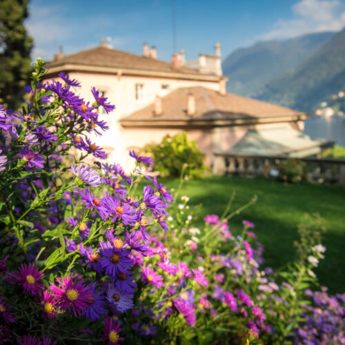 “La vista” - Passeggiata al risveglio della natura